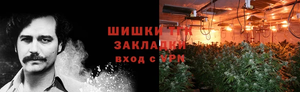 ГАЛЛЮЦИНОГЕННЫЕ ГРИБЫ Алапаевск