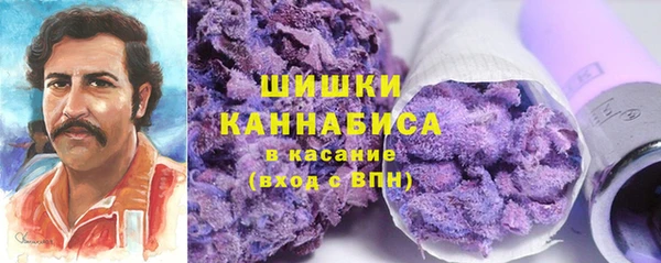 ПСИЛОЦИБИНОВЫЕ ГРИБЫ Магас