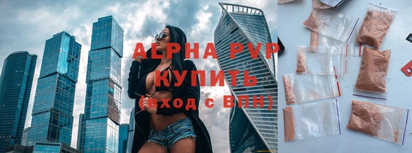 ПСИЛОЦИБИНОВЫЕ ГРИБЫ Магас