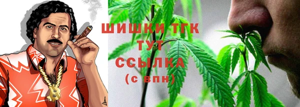 ПСИЛОЦИБИНОВЫЕ ГРИБЫ Магас