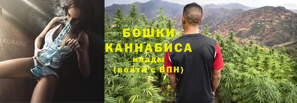 ПСИЛОЦИБИНОВЫЕ ГРИБЫ Магас