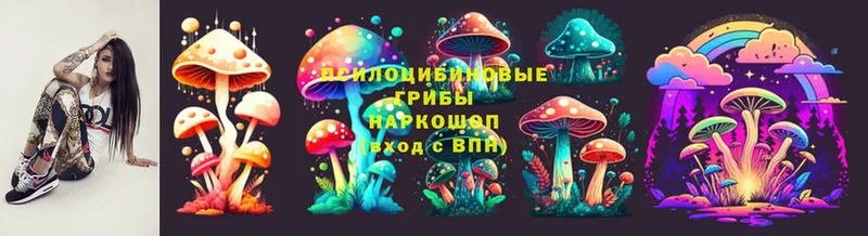 Галлюциногенные грибы GOLDEN TEACHER  как найти закладки  Бикин 